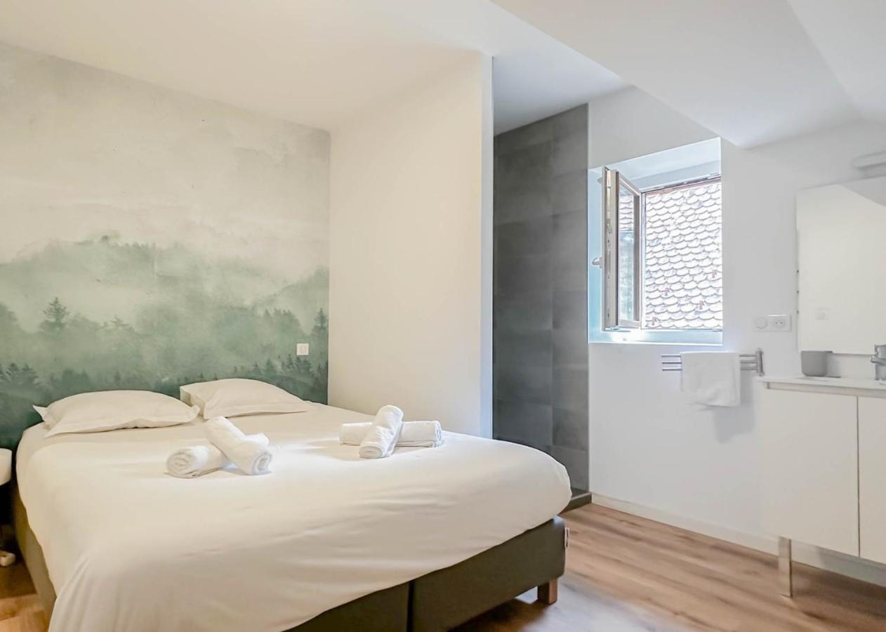 Rainbow, Rue Carnot Apartment Annecy Bagian luar foto